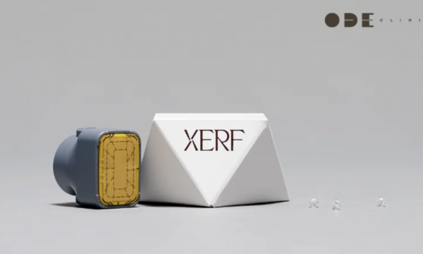 XERF Before and After Photos: 300 Shots vs. 600 Shots